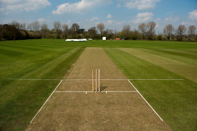 Cricket Pitch Length, Measurements and Dimensions: A Comprehensive Guide