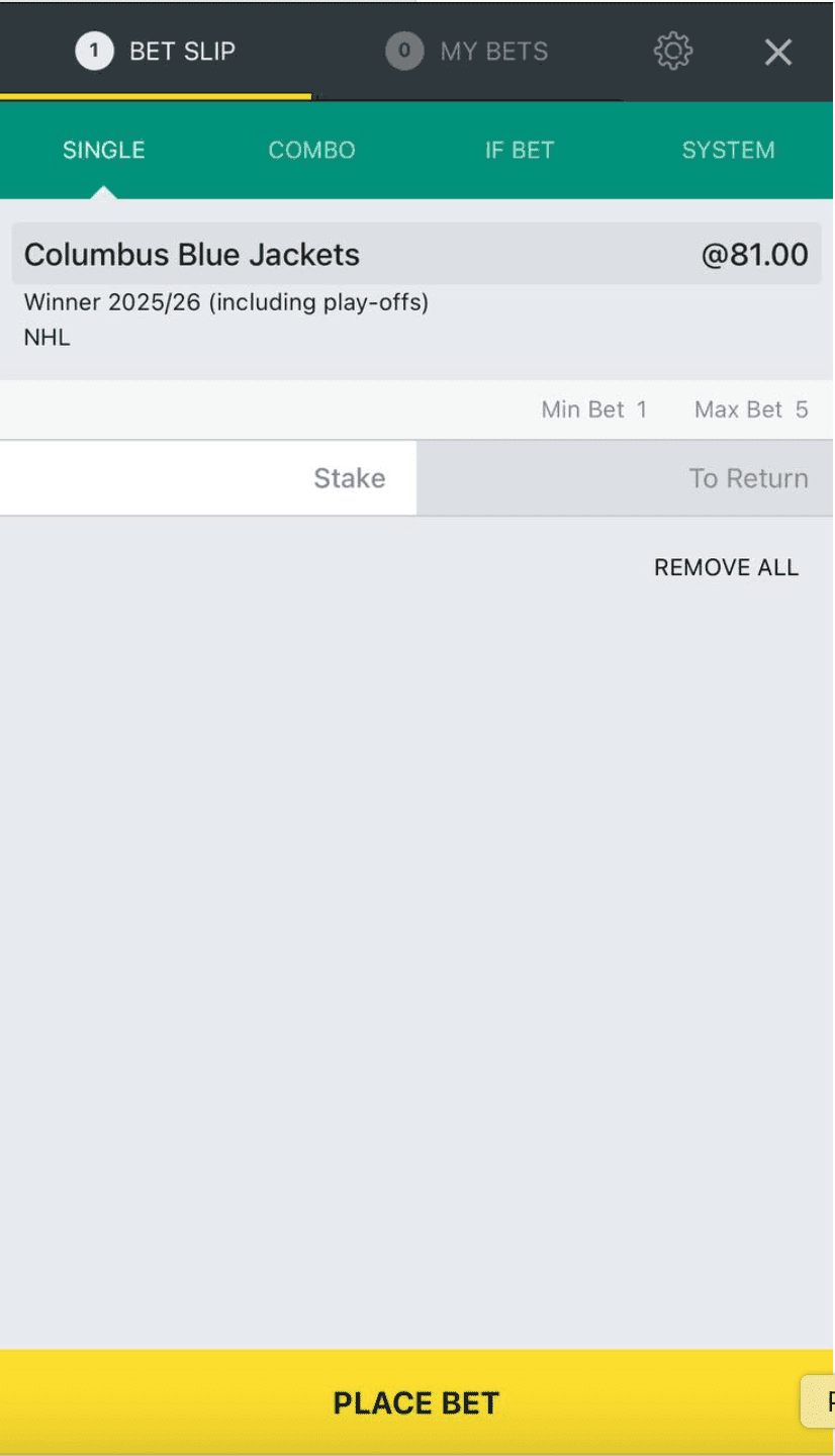1Bet Mobile Experience