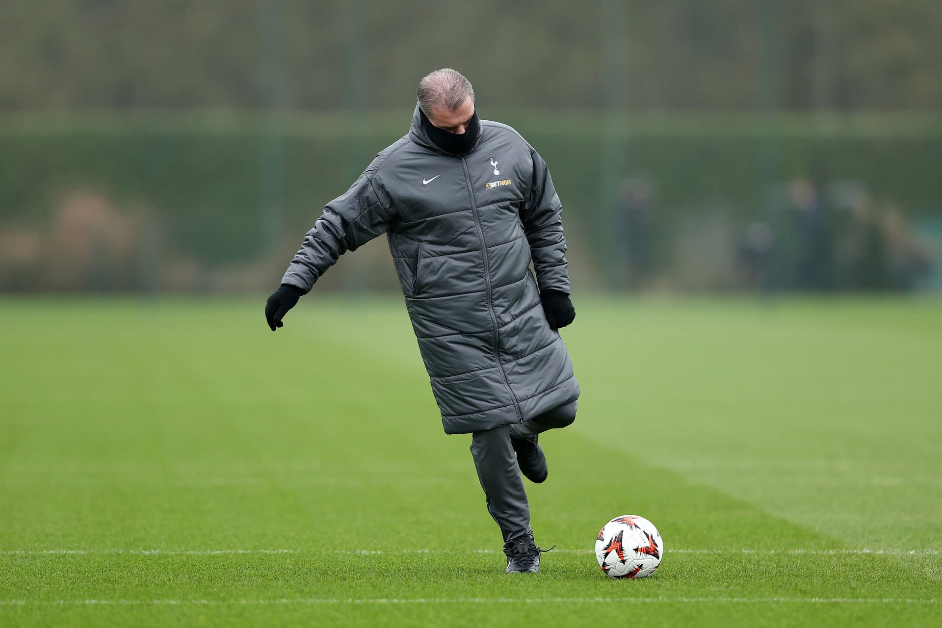 Ange Postecoglou, Manager of Tottenham Hotspur