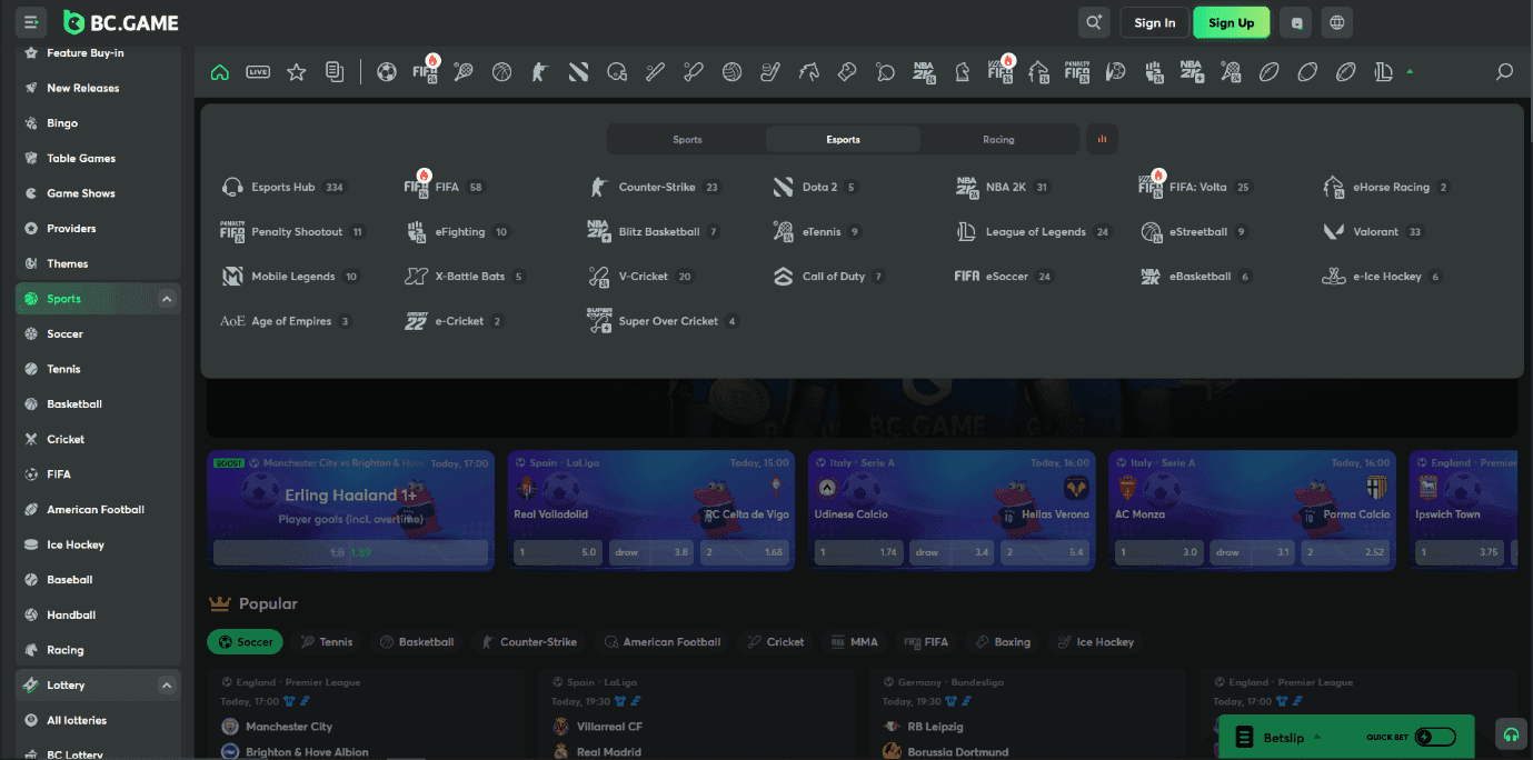 BC.Game Esports Betting Review
