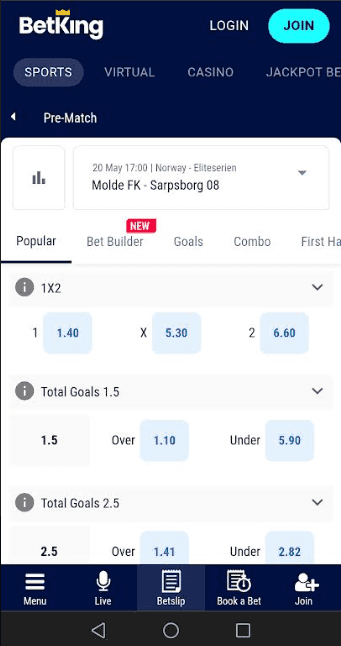 BetKing App Betting Guide  2.png