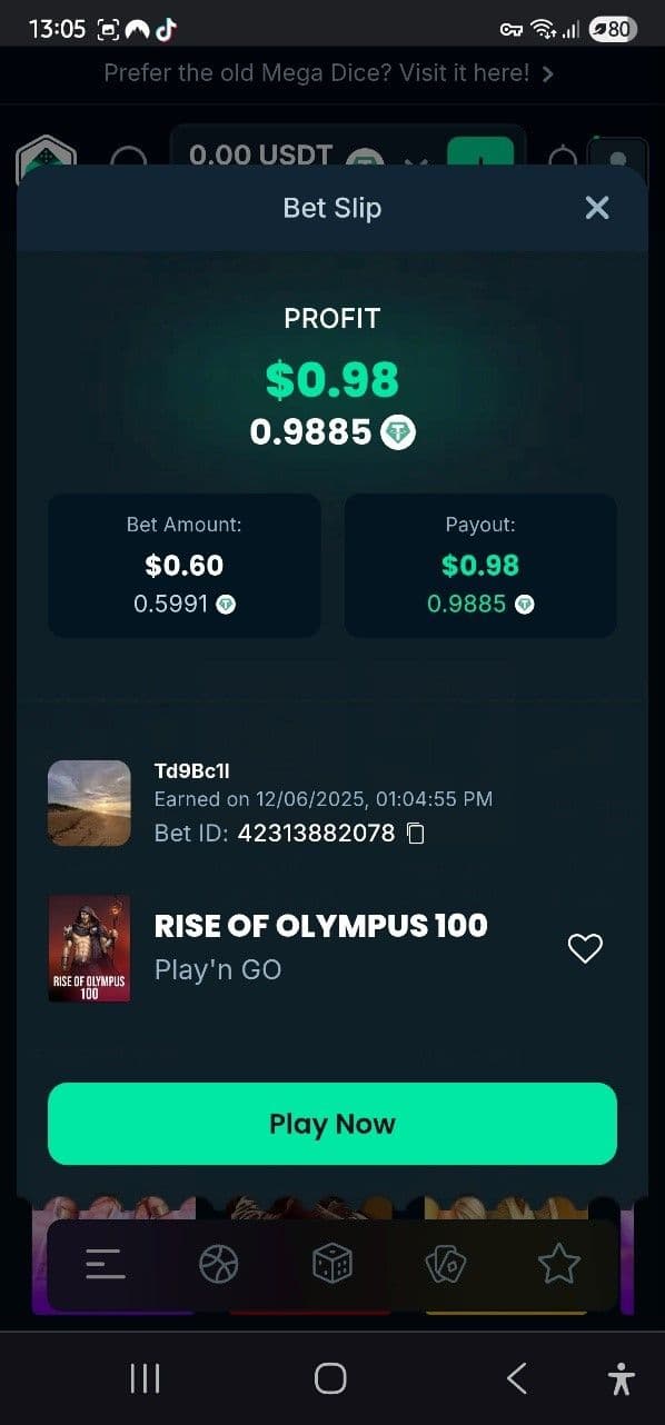 Betting Limits & High-Mega Dice 
