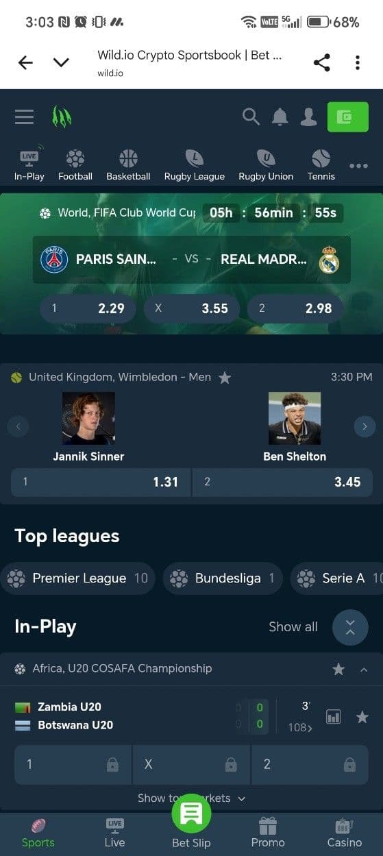 Betting Markets at Wild.io.jpg