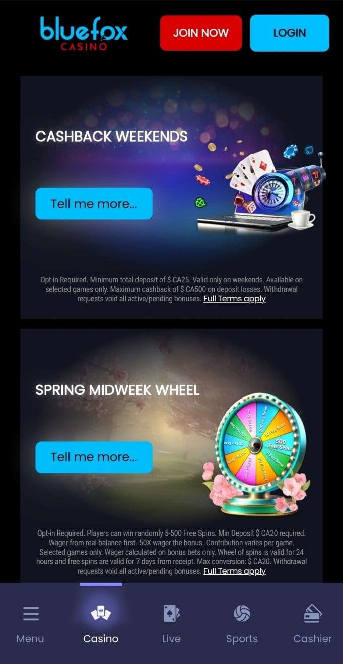 BlueFox Casino Promotions  2.jpg