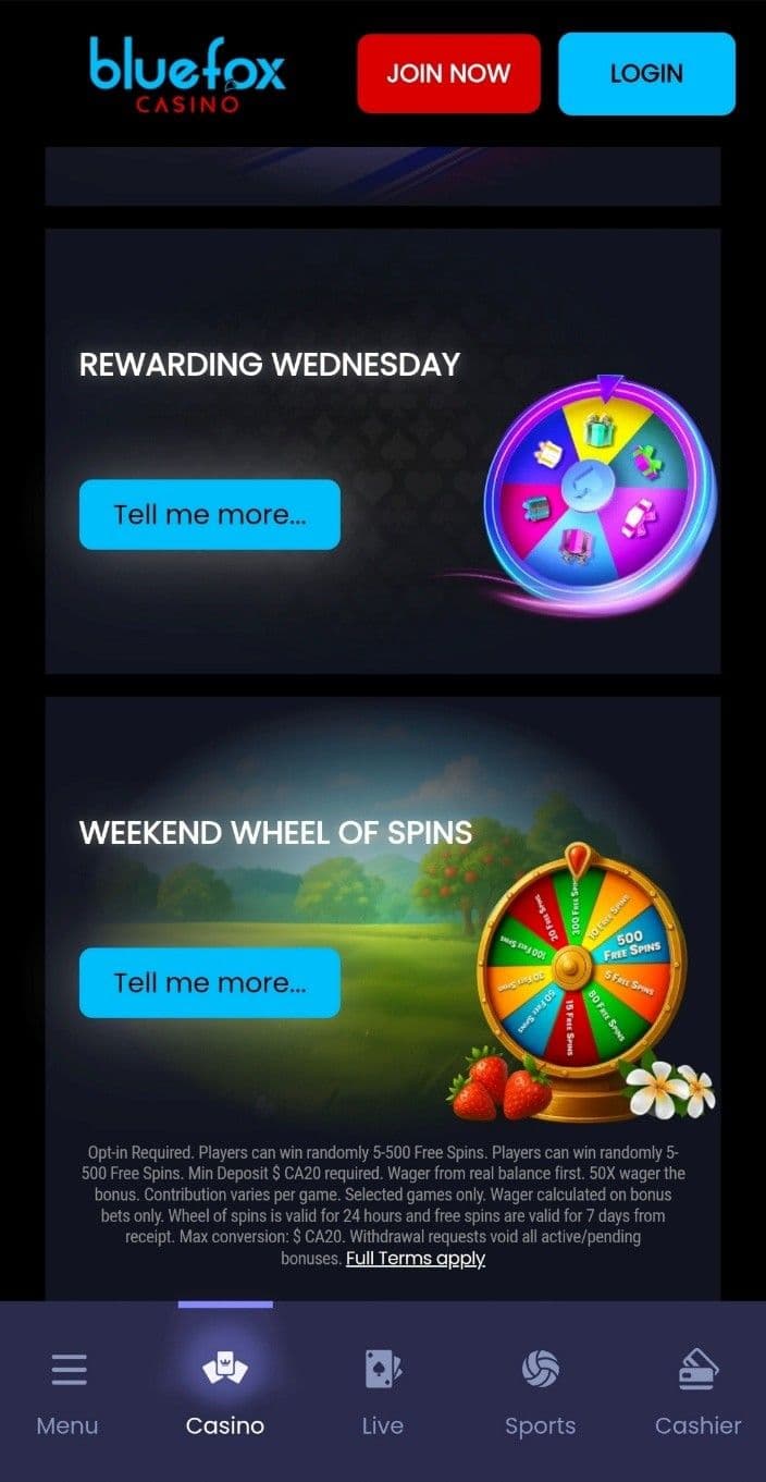 BlueFox Casino Promotions.jpg