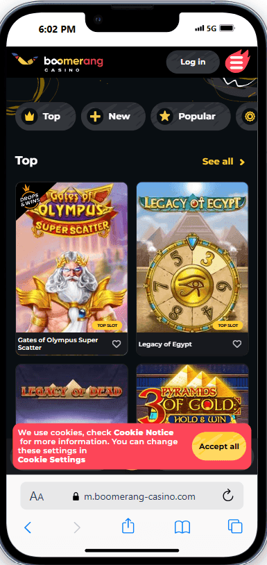 Boomerang Bet Mobile Experience 