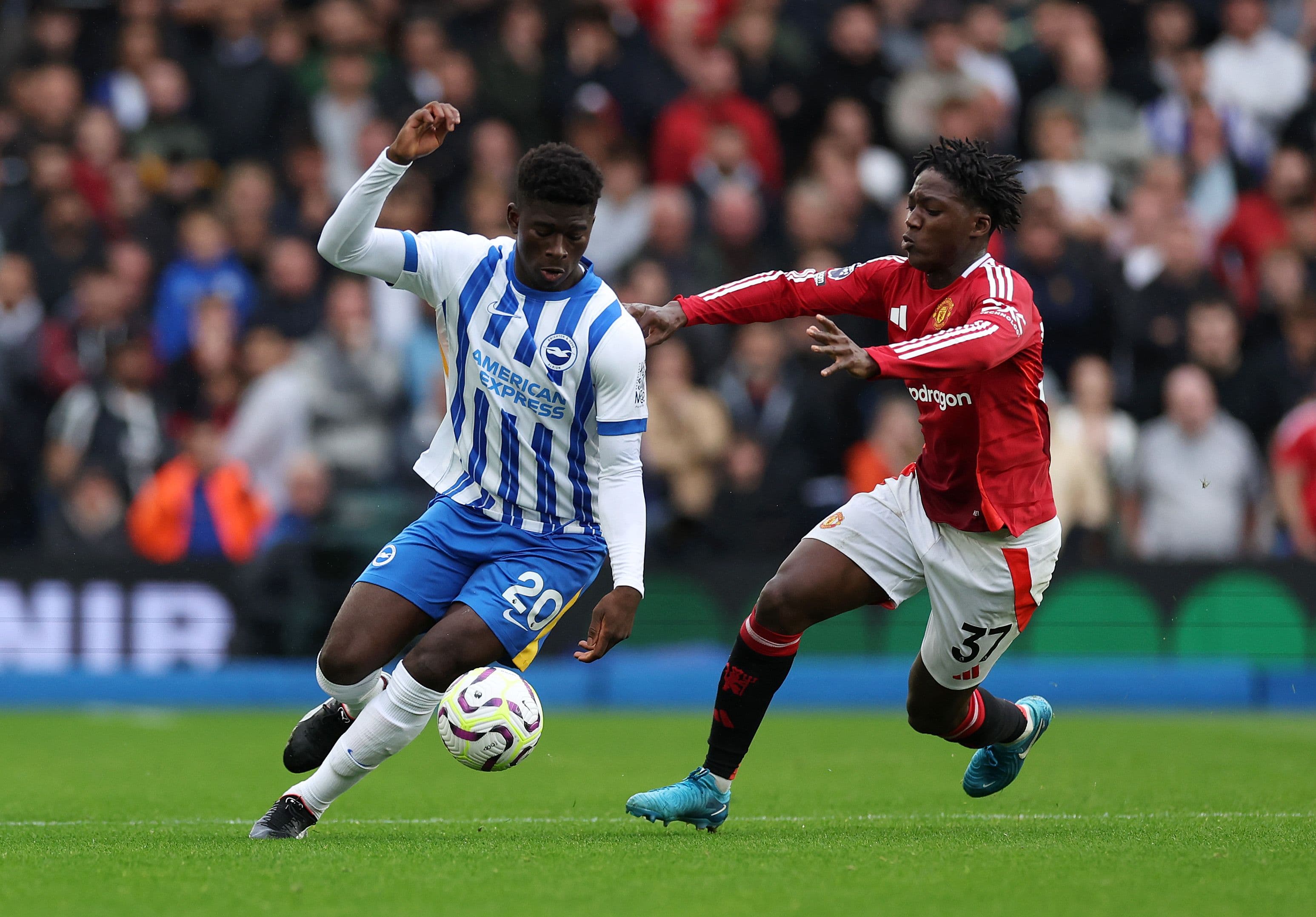 Carlos Baleba & Hove Albion