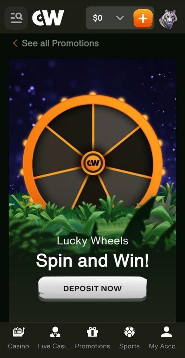 Cashwin VIP Club & Loyalty Program 