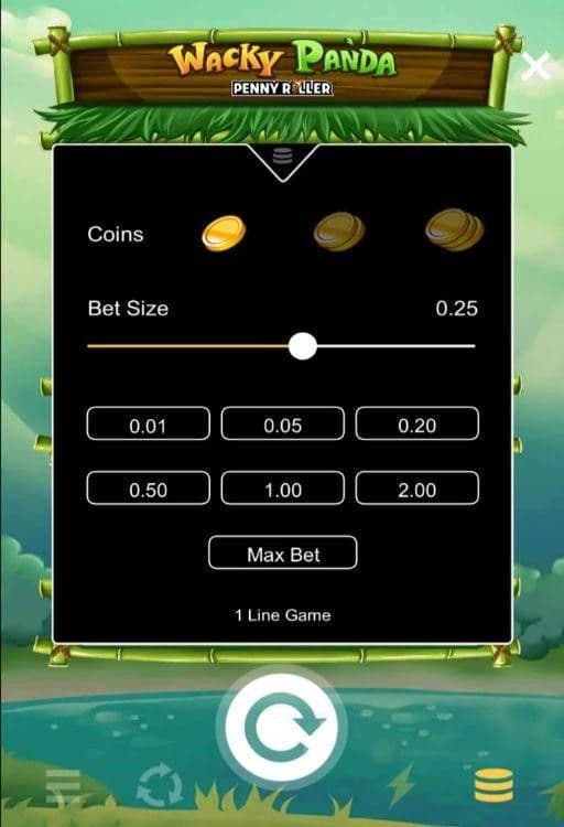 Choose your base bet amount per spin
