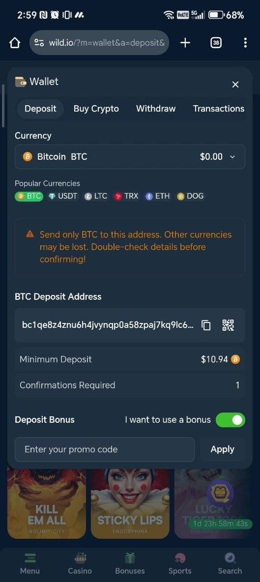 Choose your preferred Wild.io payment option.jpg