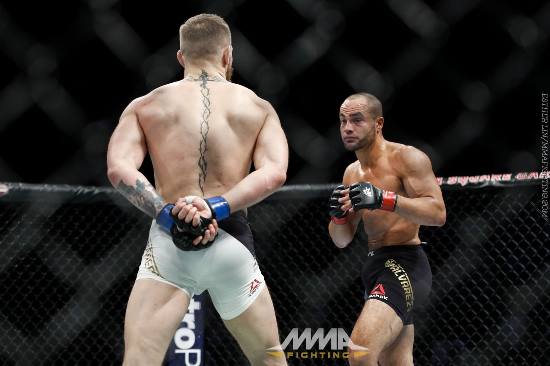 Conor McGregor (vs Eddie Alvarez).jpg