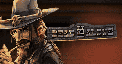Dead or Alive 2 Slot Demo and Review 