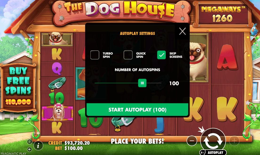 Decide how much you are betting.