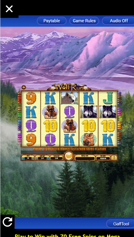 Demo mode vs Real Money Mode wolf run