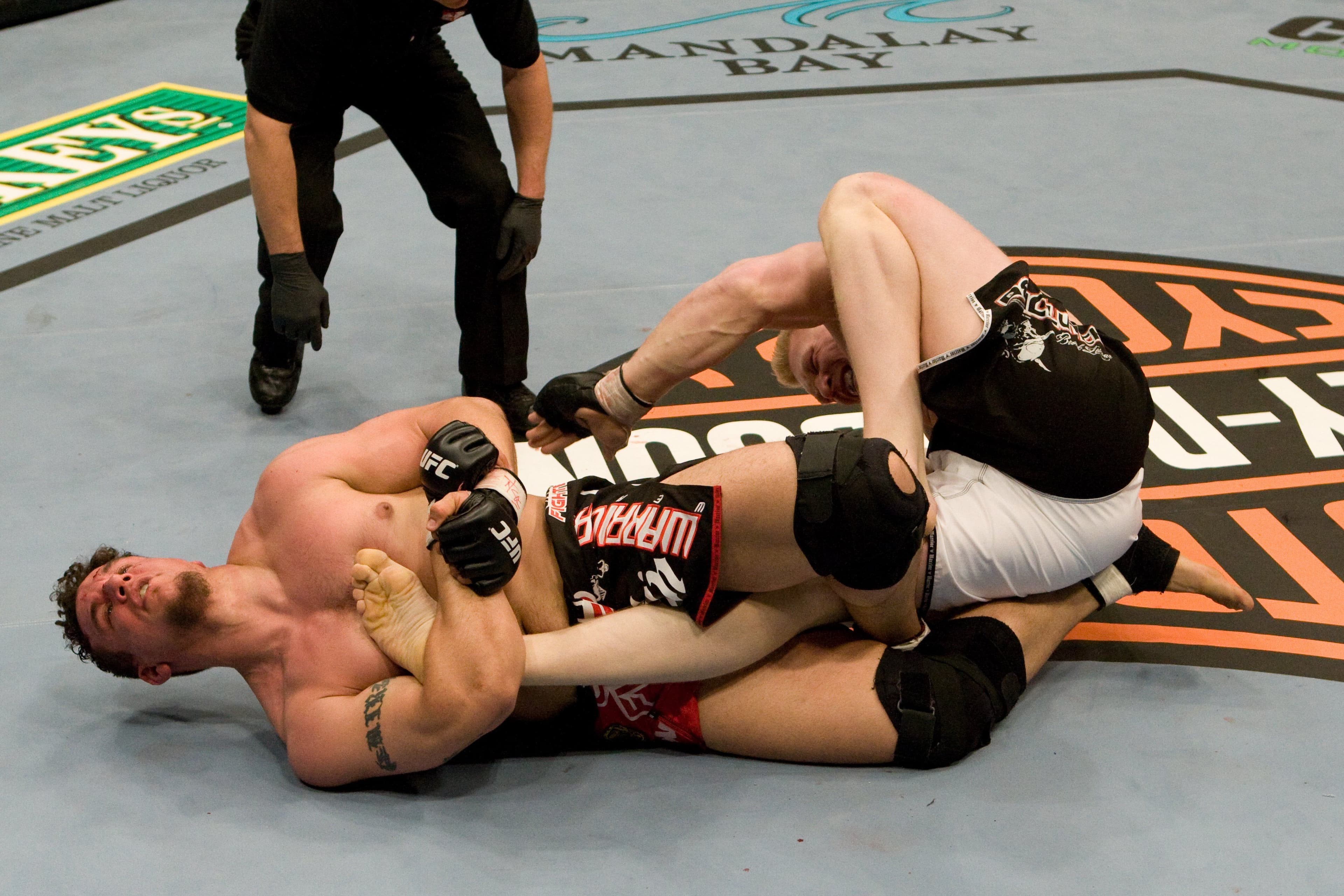 Frank Mir def. Brock Lesnar.jpg