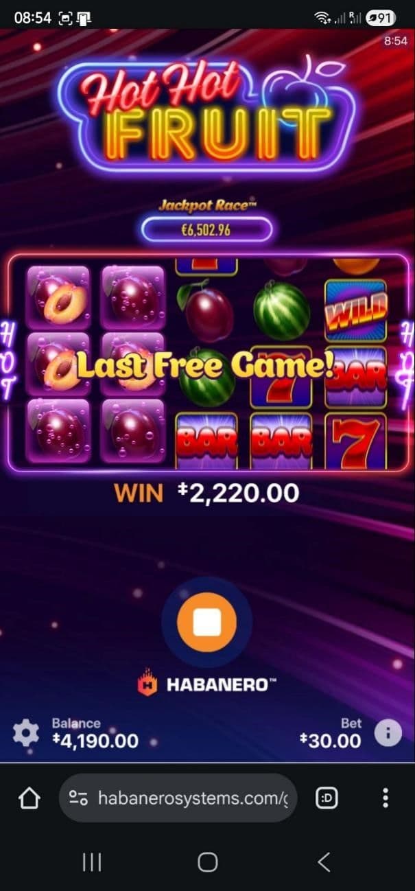 Hot Hot Fruit Bonus and Key Features  