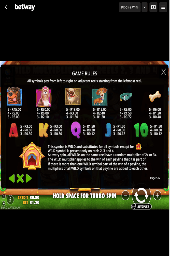 How to Play The Dog House Slot 
