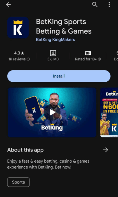 How to install BetKing 3.png
