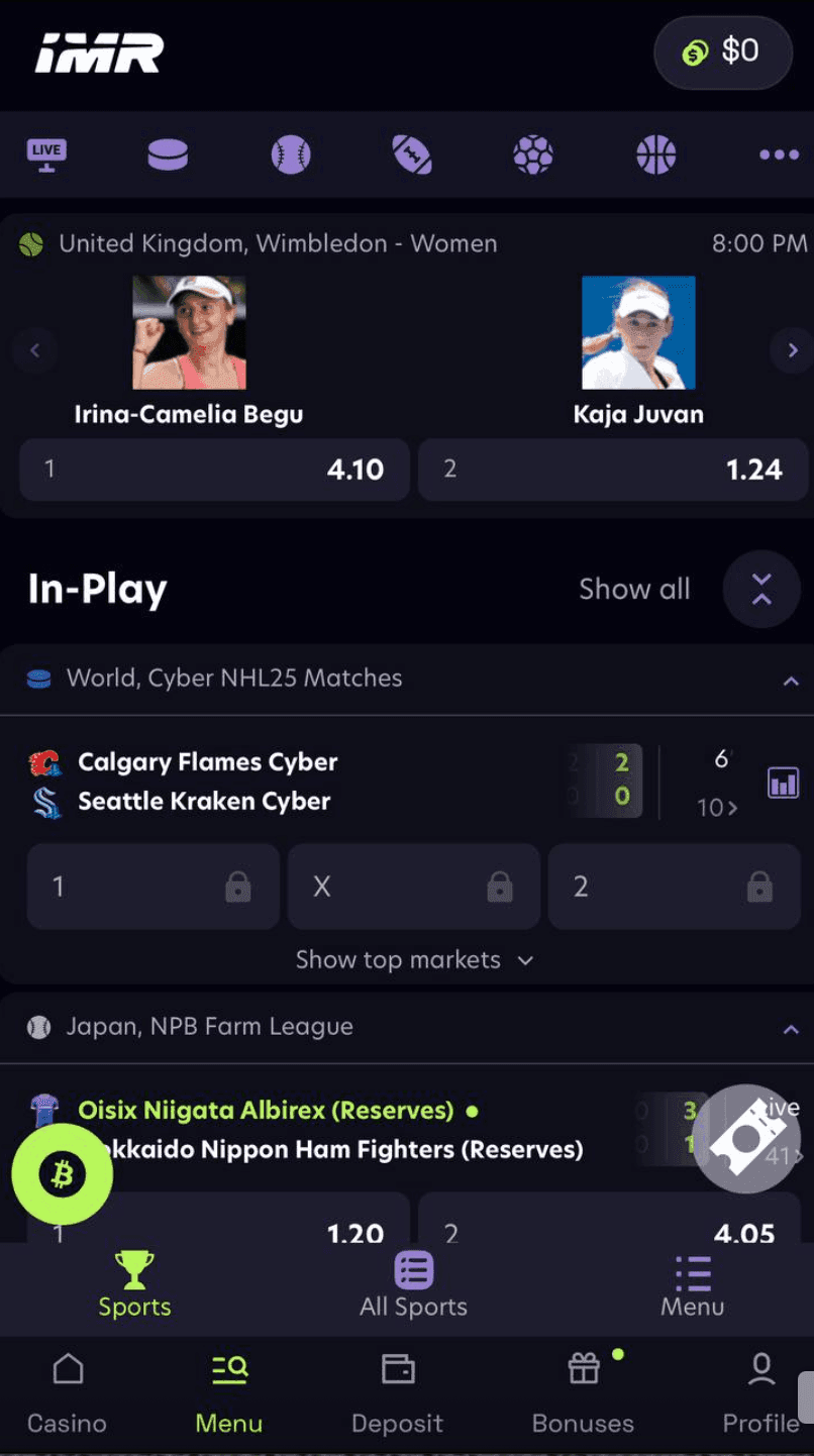 Immerion Sports Betting Review 