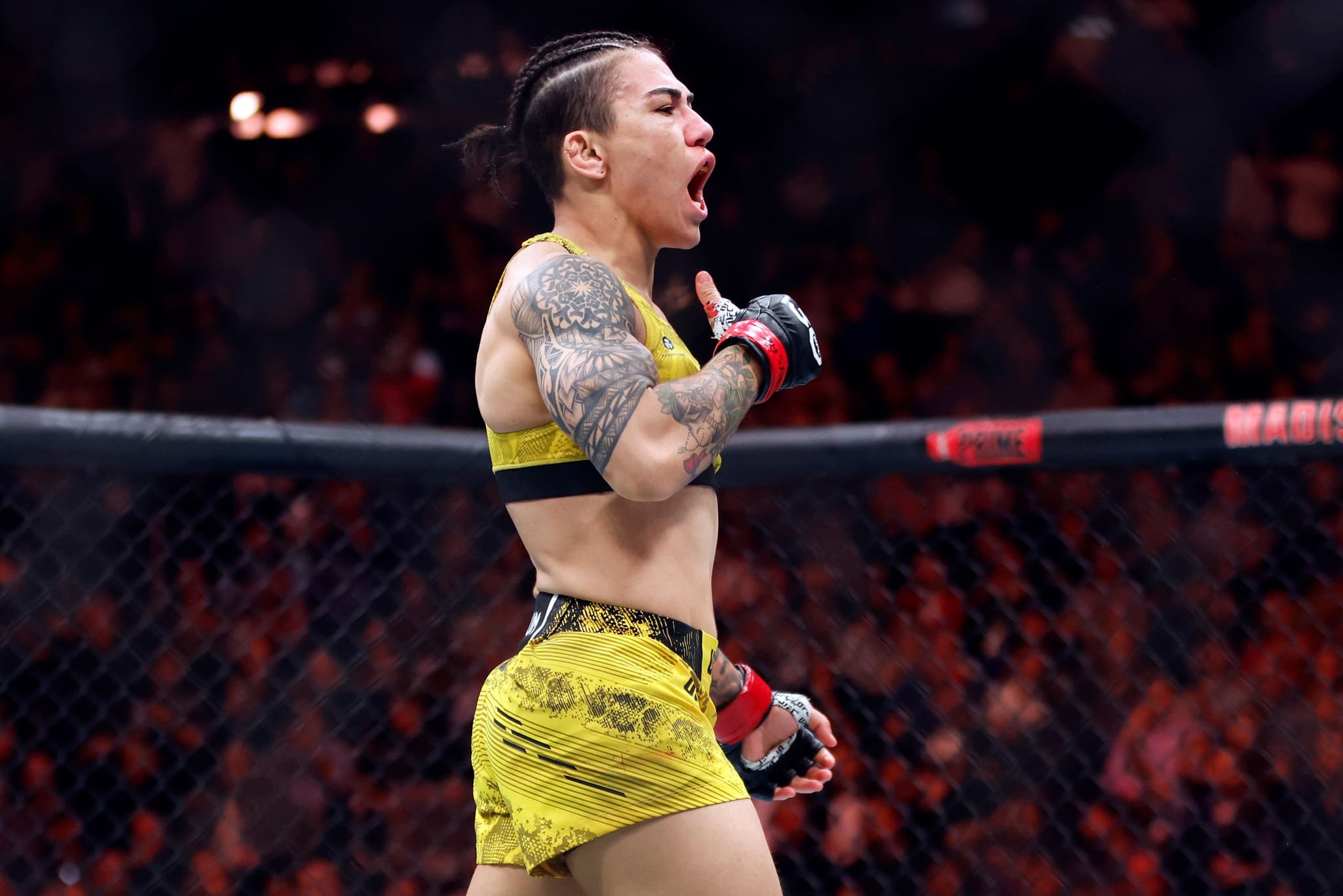 Best Brazilian Fighters Currently in the UFC