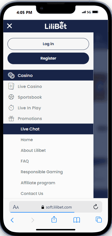 Lilibet User Experience & Interface Design.png