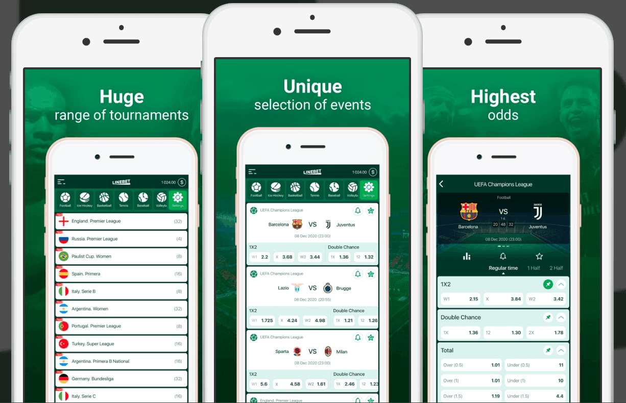 Linebet Mobile App Experience