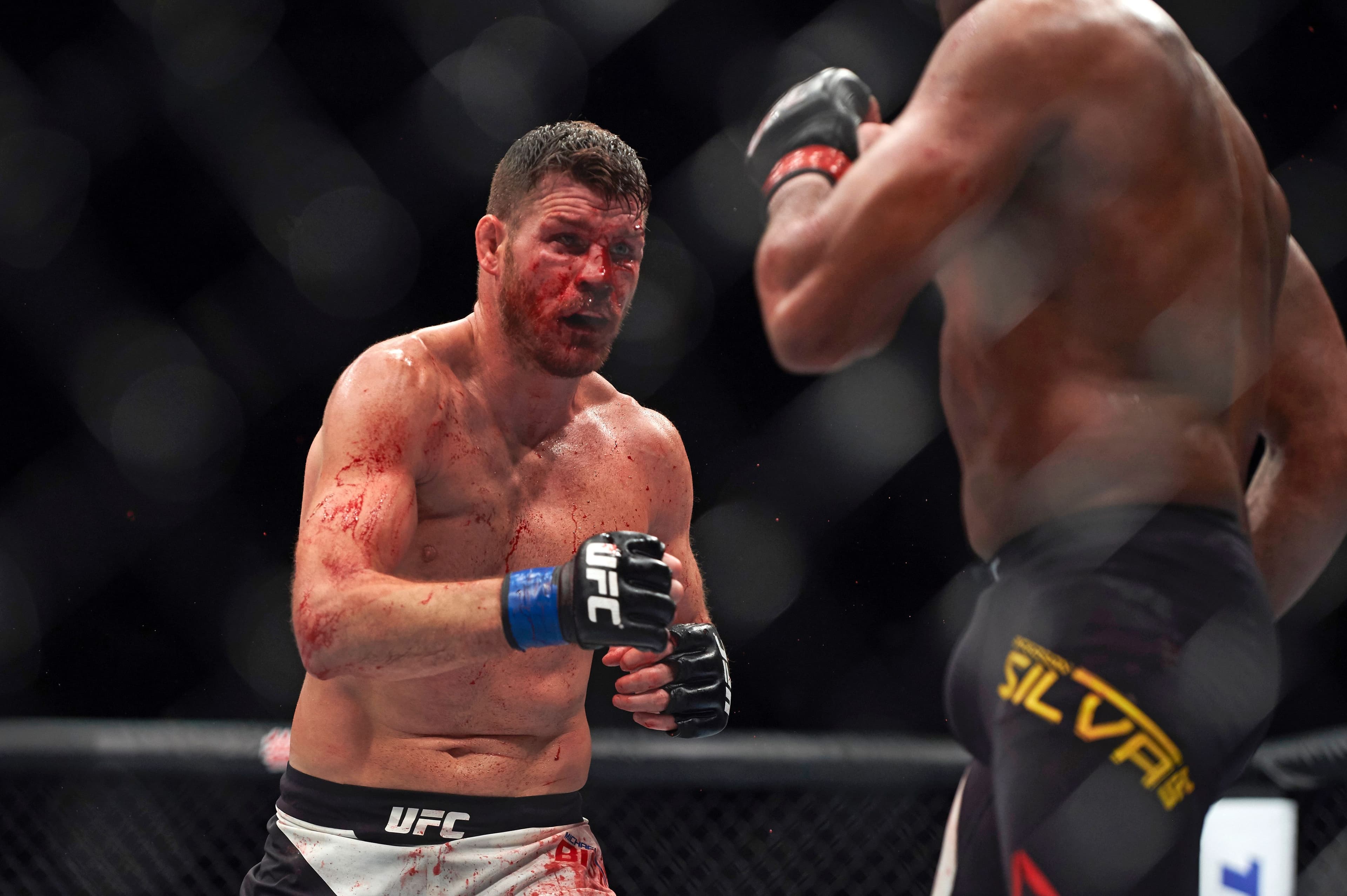 Michael Bisping and Anderson Silva of Brazil