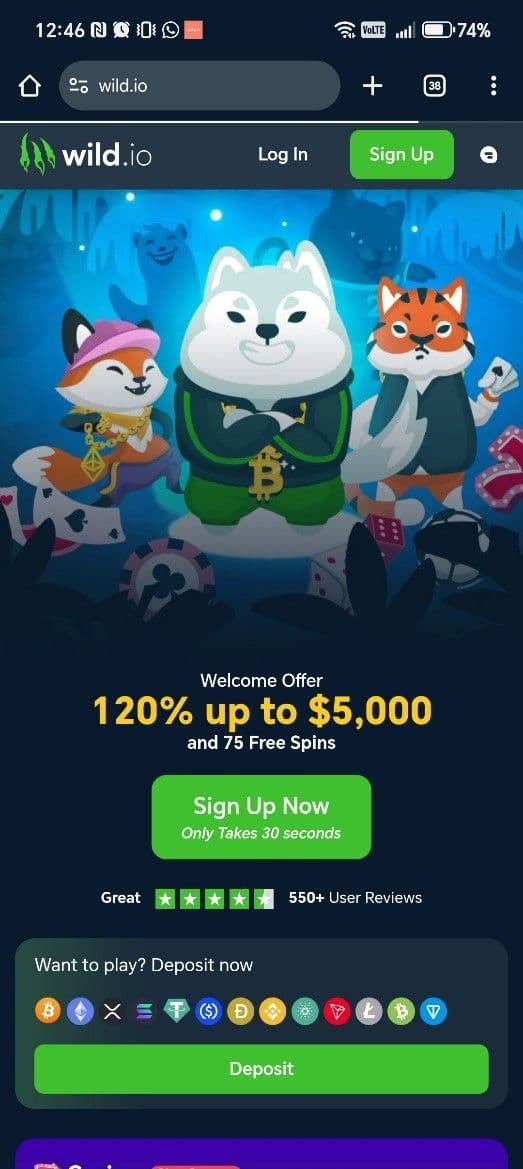 Open the Wild.io mobile app.jpg