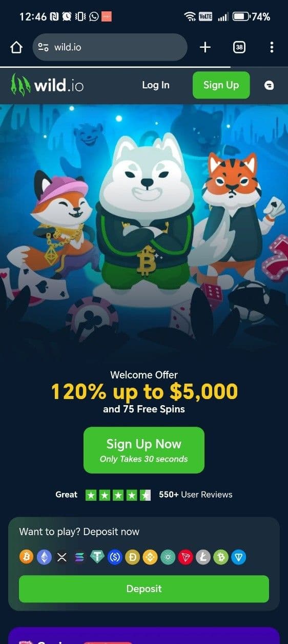 Open the Wild.io mobile site or app.jpg