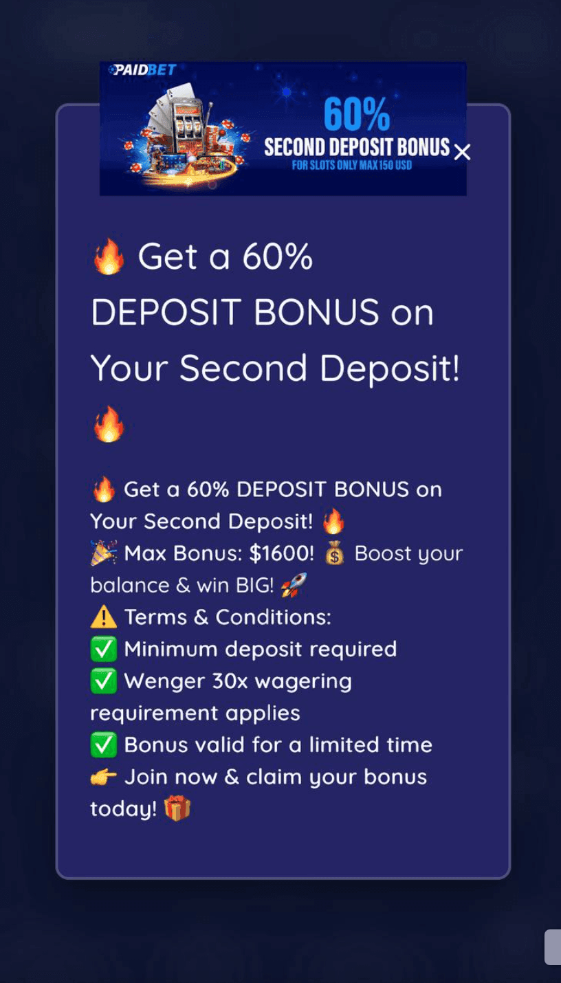 PaidBet Casino Promotions.png
