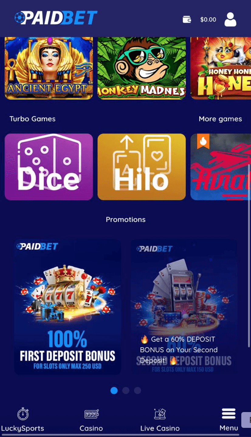 PaidBet User Experience & Website Design.png