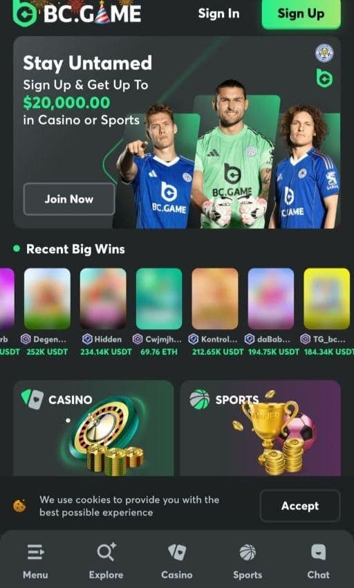 Pick a reputable casino like BC.Game 