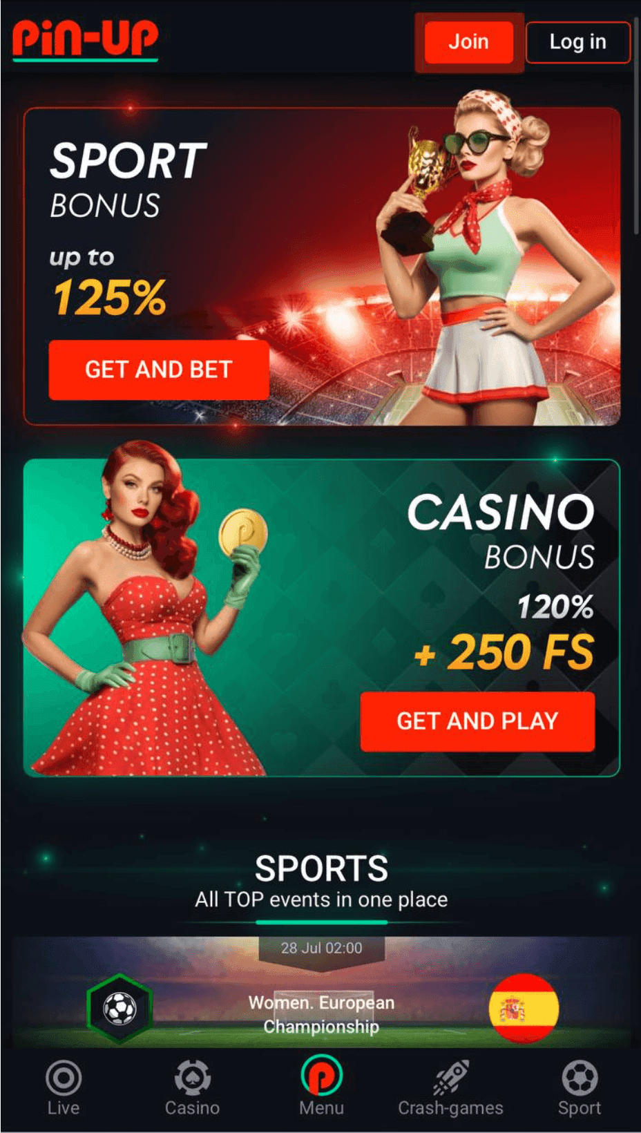 Pin Up Aviator Login 1.png