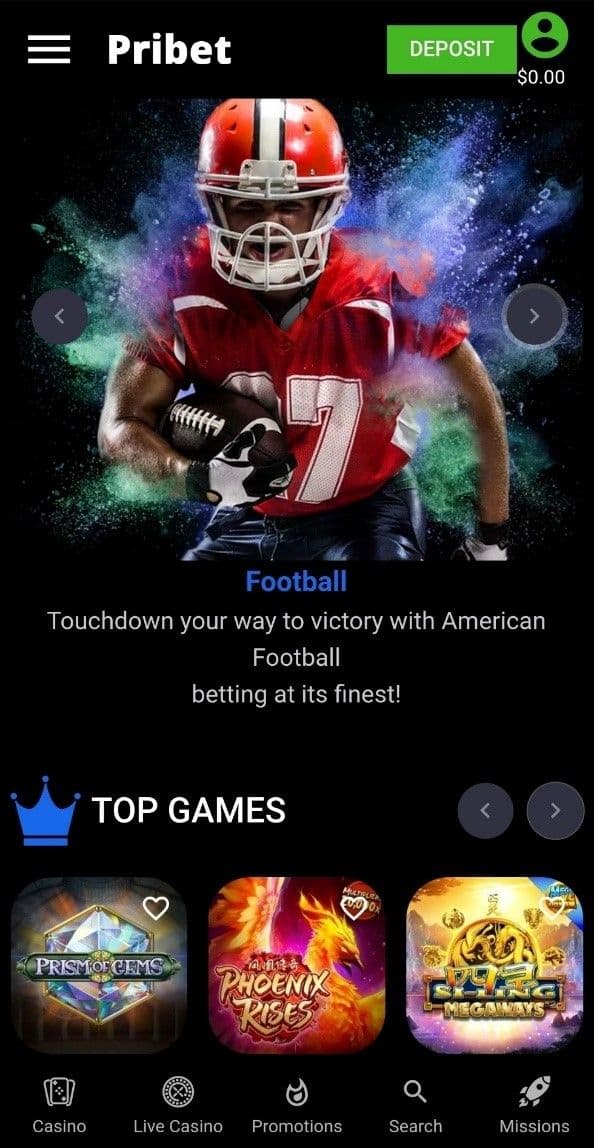 Pribet Mobile Experience