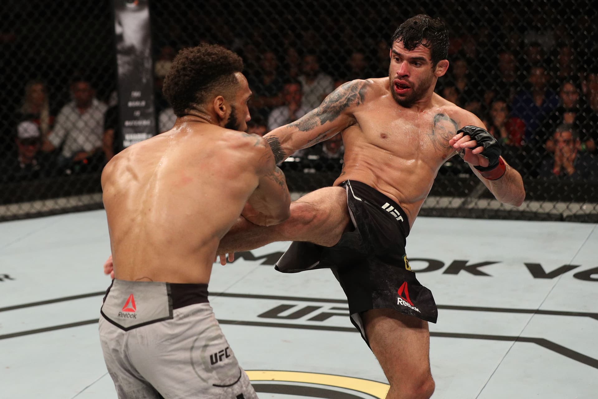 Renan Barao kicks Andre Ewell