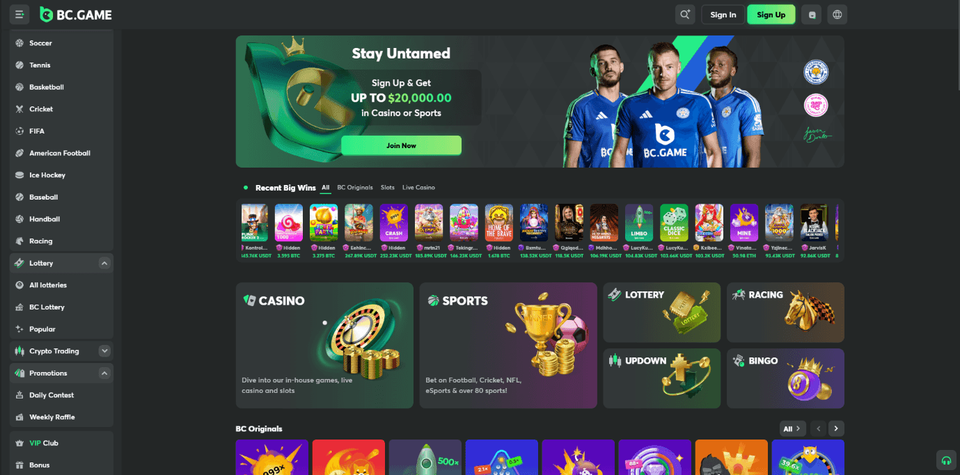 Review of BC.Game User Experience 