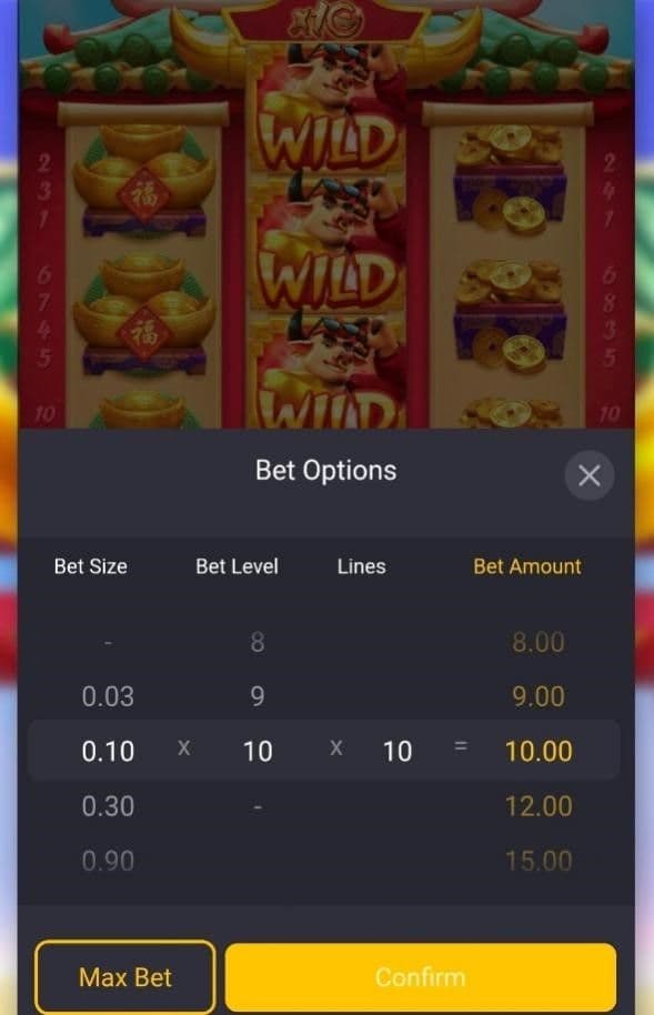 Set your bet using the bet size and bet level 