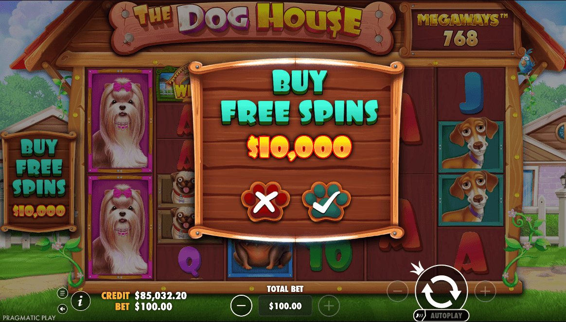 Special Features doh house