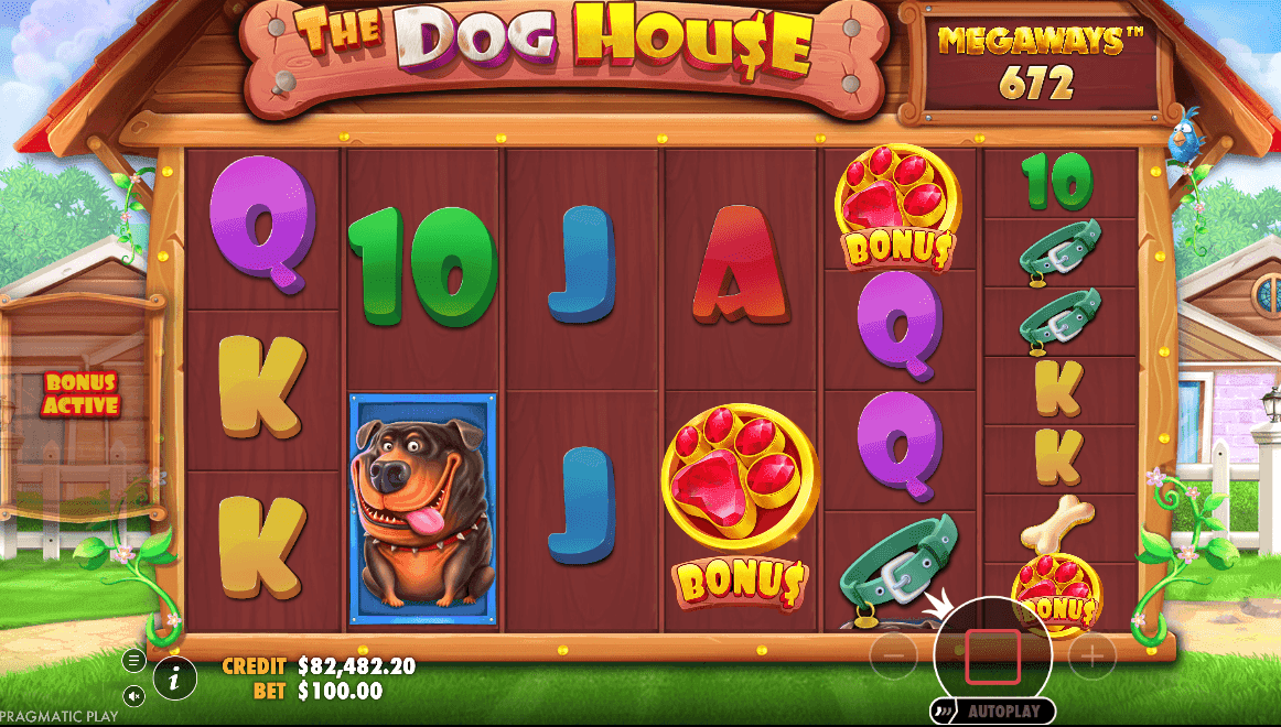 Special Symbols dog house