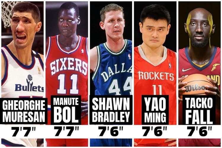 The tallest nba players