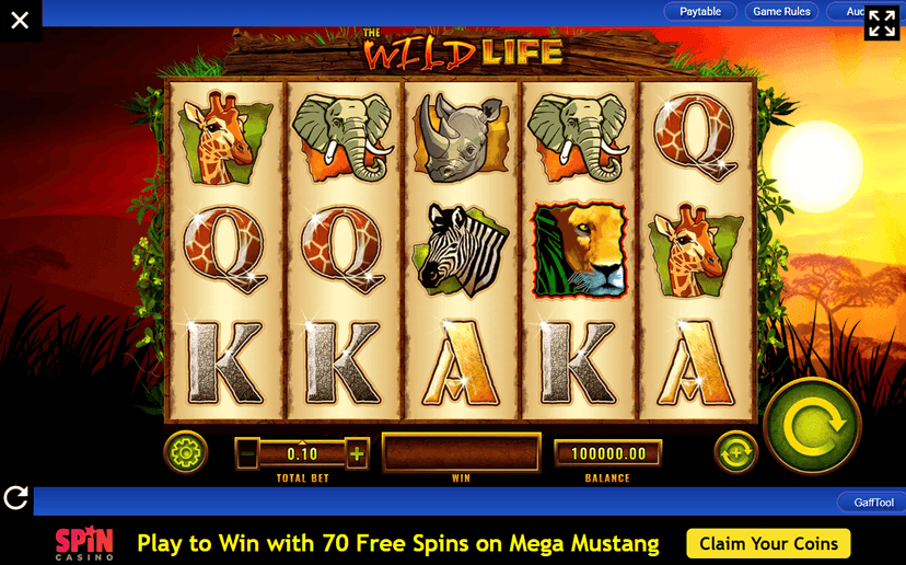 The Wild Life Slot Review 