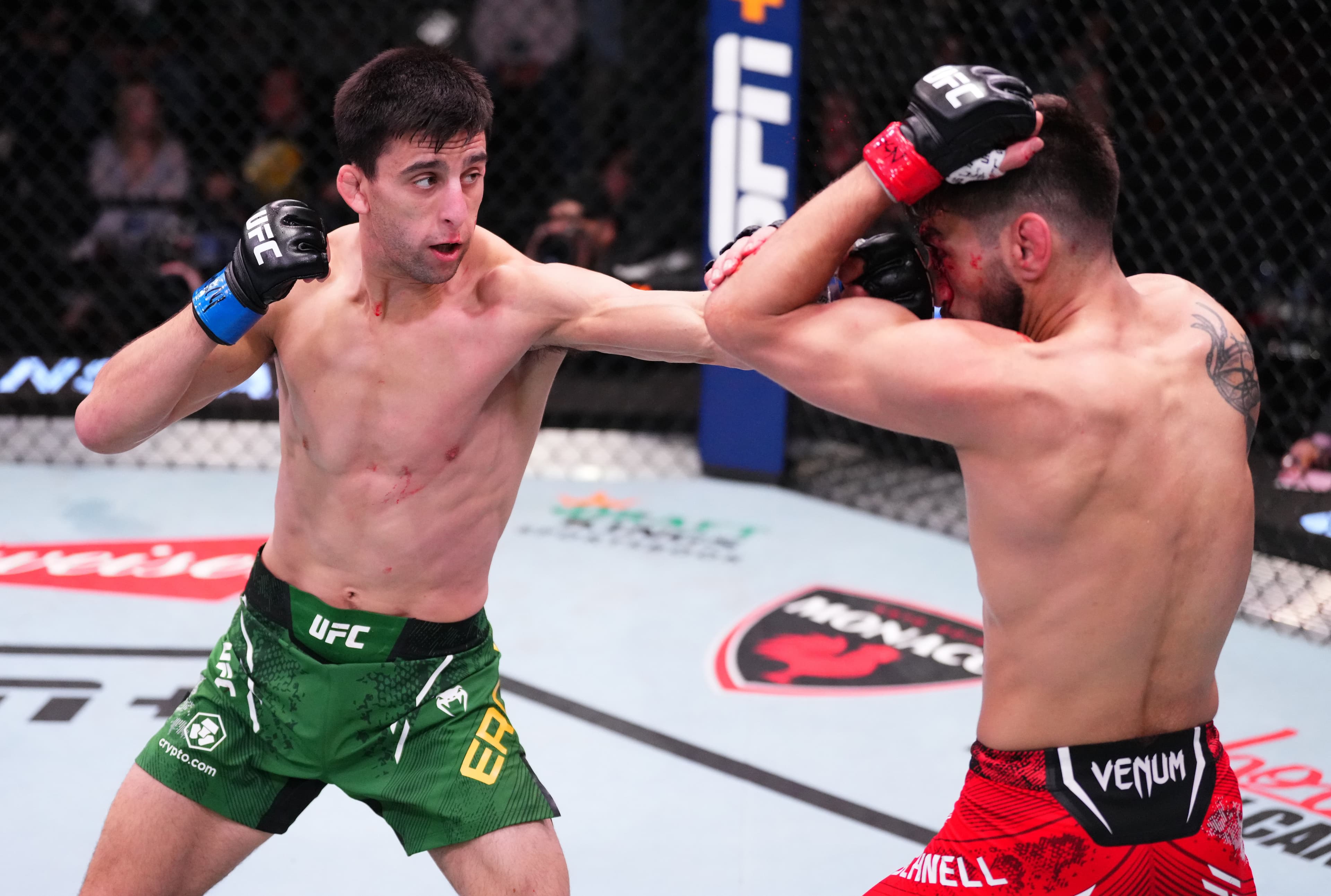 UFC Fight Night Schnell v Erceg