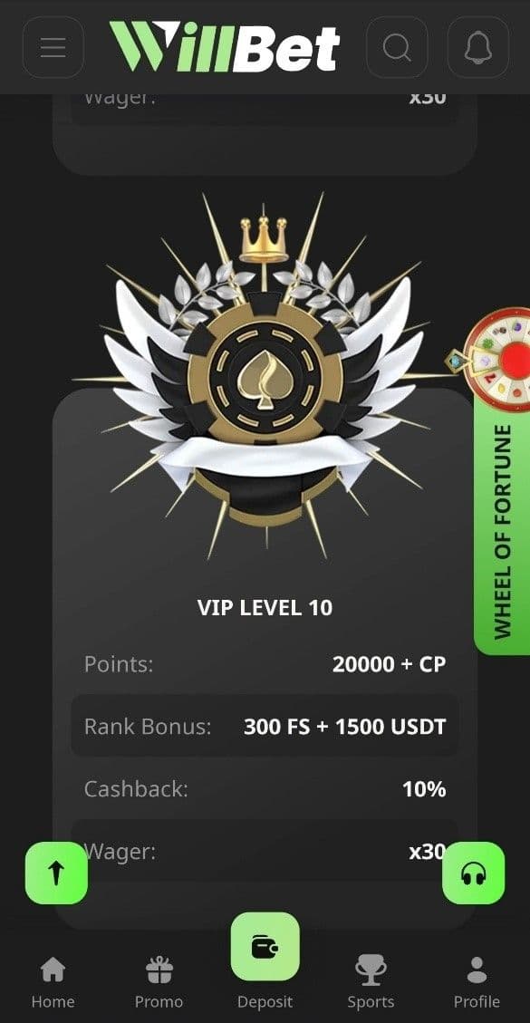 VIP Program & Exclusive Rewards from Willbet