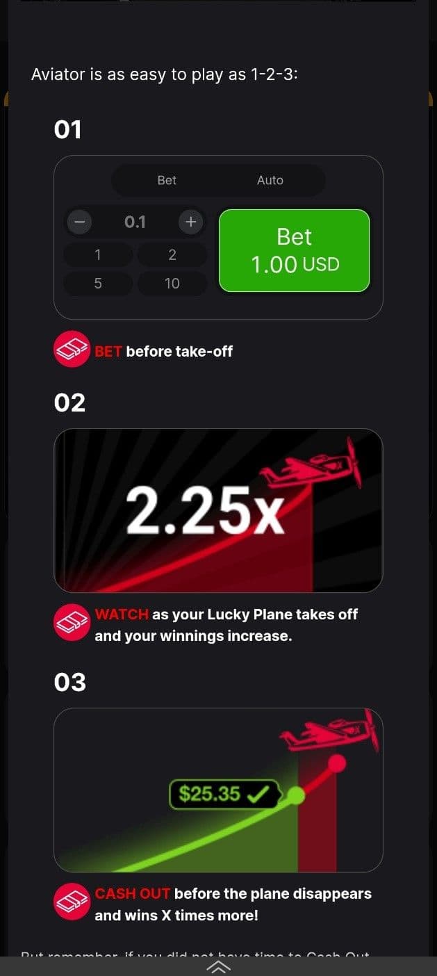 Watch the Plane melbet