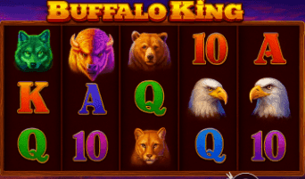What is Buffalo King Slot