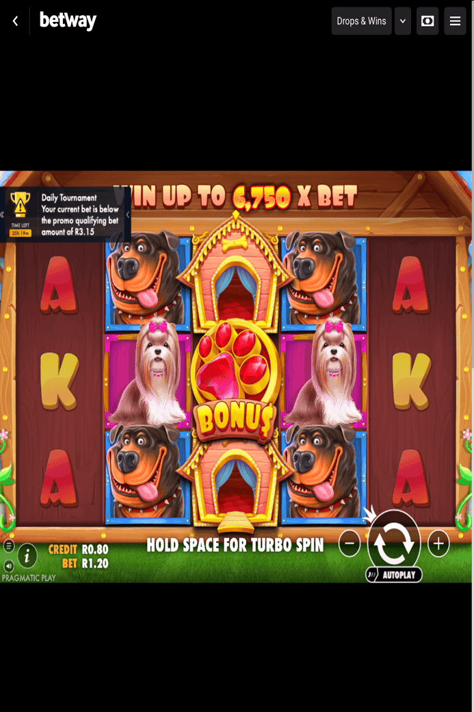 What is The Dog House Slot