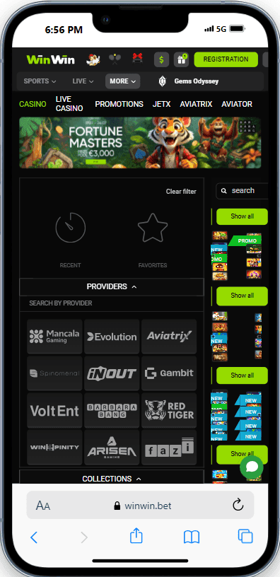 WinWin Customer Service 