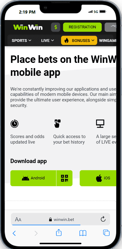 WinWin Mobile Experience.png
