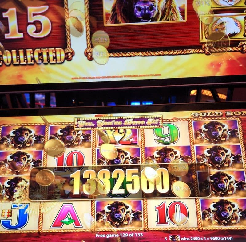 Buffalo Gold Collection Copycat Savannah Legend