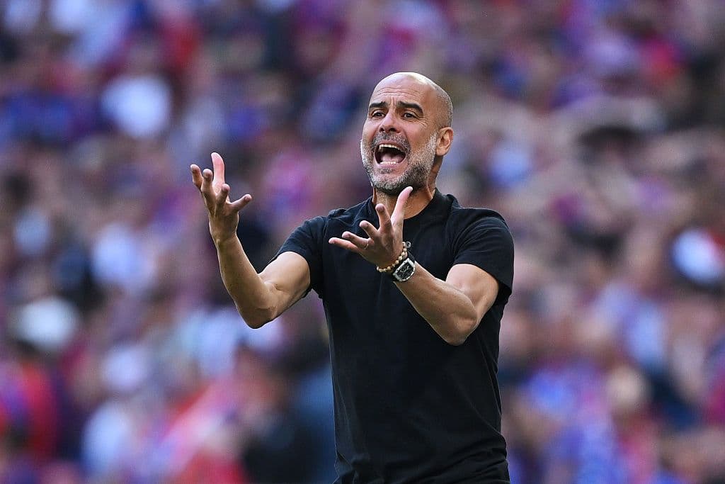 Crystal Palace v Manchester City - Emirates FA Cup Final